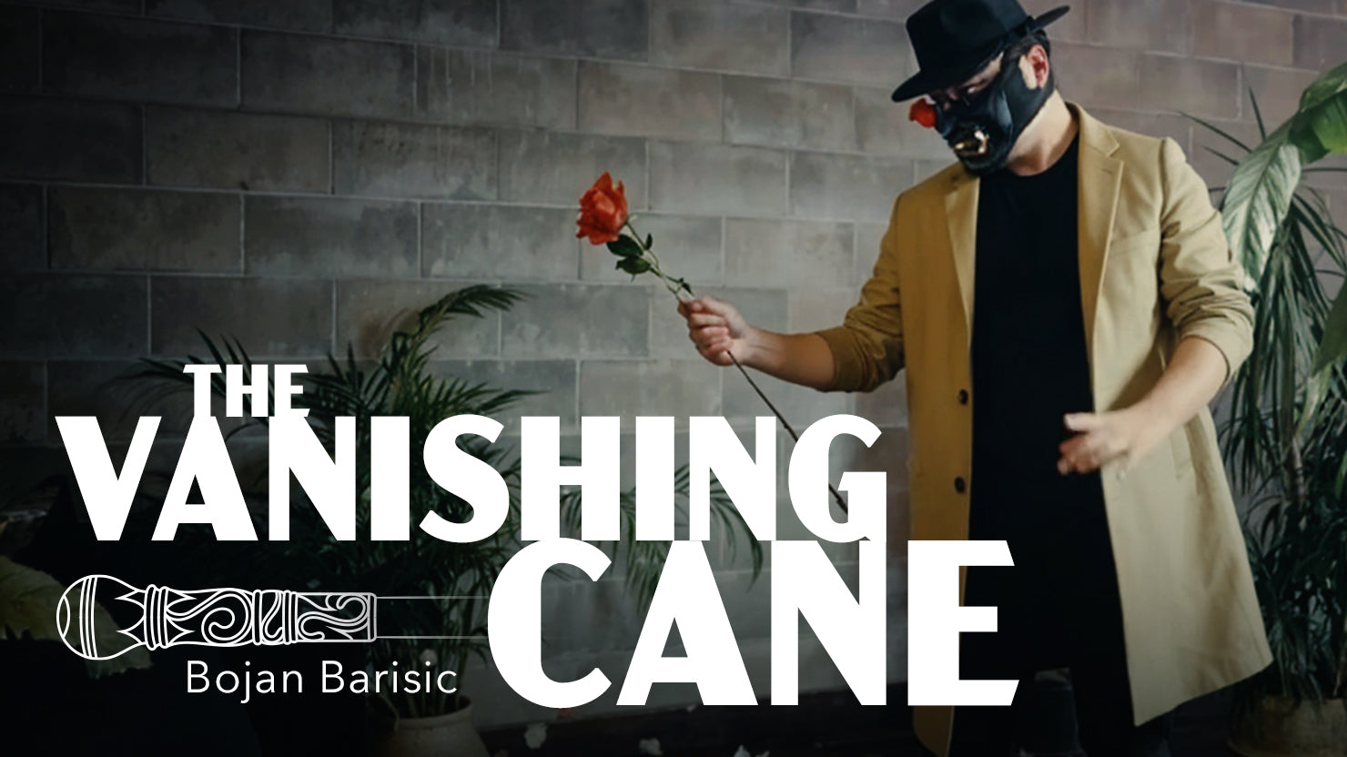The Vanishing Cane - Bojan Barisic - The Online Magic Store