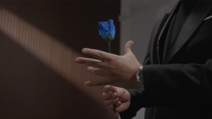 Eternal Rose, photo 3