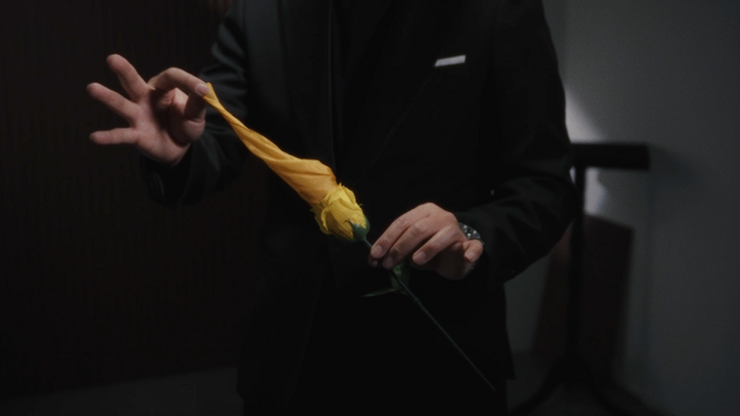 Eternal Rose, photo 4