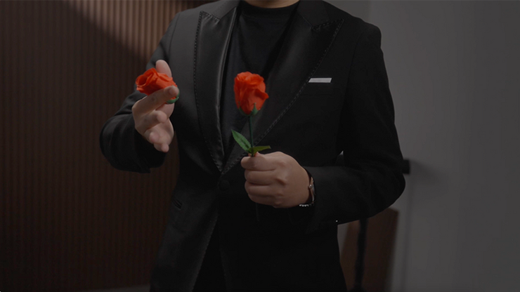Eternal Rose - Bond Lee - The Online Magic Store