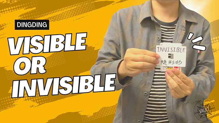 The Vault - Visible or Invisible - Dingding - The Online Magic Store