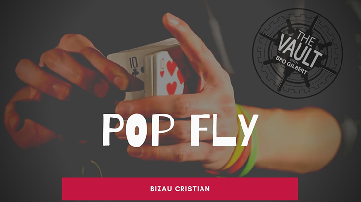The Vault - Pop Fly - Bizau Cristian