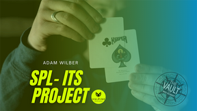 The Vault - SPL-ITS Project - Adam Wilber - The Online Magic Store