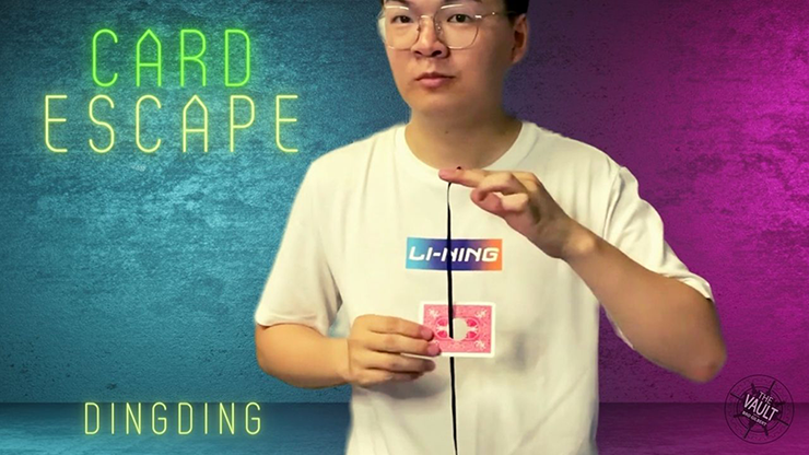 The Vault - Card Escape - Dingding