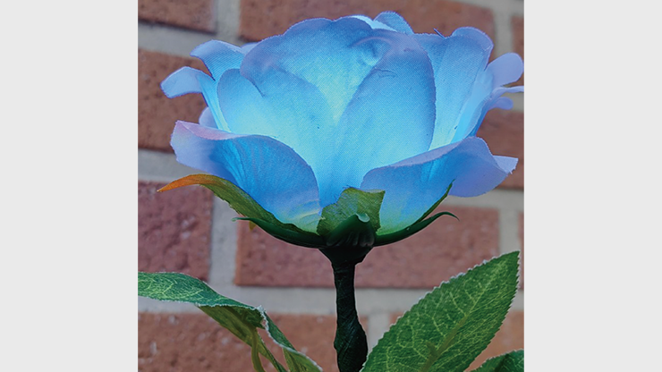 Remote Light Rose Multi-Color (Charger Included)