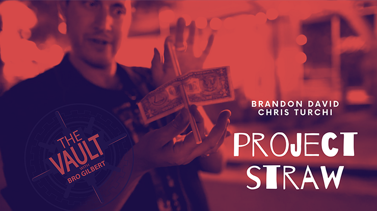 The Vault - Project Straw - Brandon David & Chris Turchi