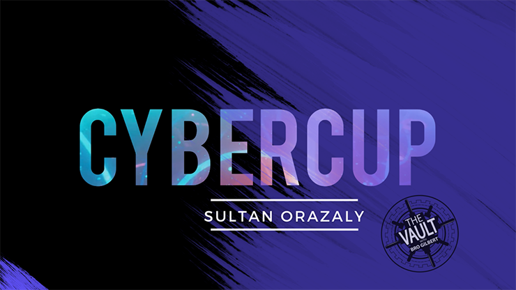 The Vault - Cybercup - Sultan Orazaly