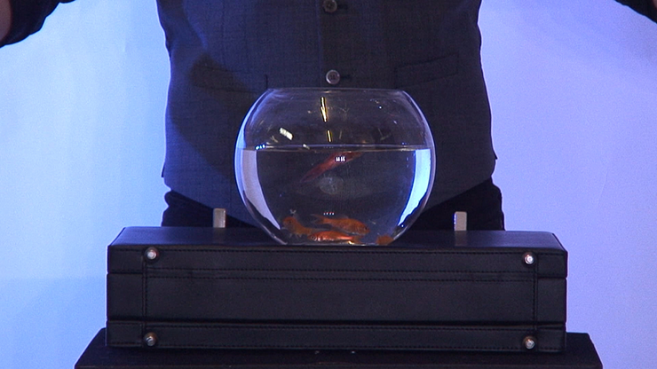 Ultimate Bowling Ball From Briefcase