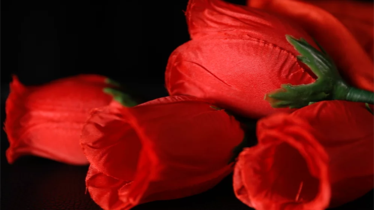 The Rose 2.0 (Red) - Bond Lee & Wenzi Magic - The Online Magic Store
