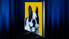 Lego Frame - Gustavo Sereno and Gee Magic - The Online Magic Store