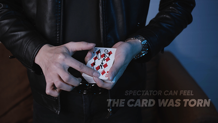 The Vault - Skymember Presents ELIXIR, photo 2