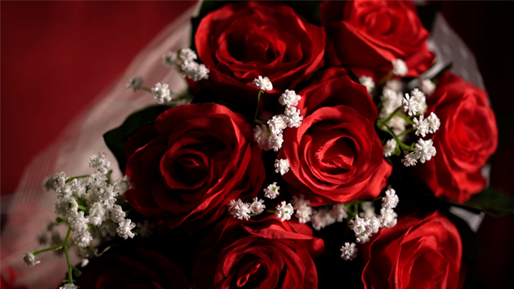 The Bouquet (Red) - Bond Lee & MS Magic - The Online Magic Store