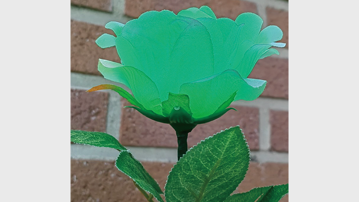 Remote Light Rose Multi-Color (Charger Included), photo 2
