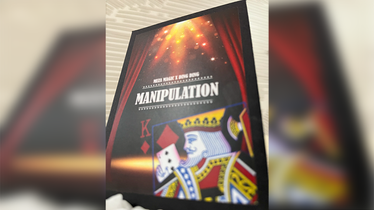 Manipulation, photo 2