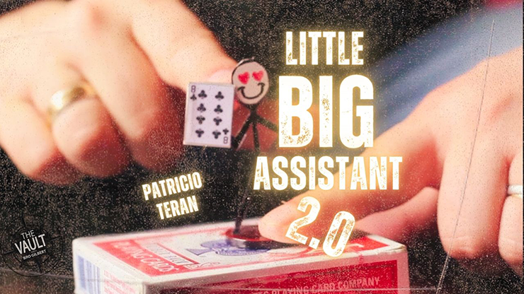 The Vault - Little Big Assistant 2