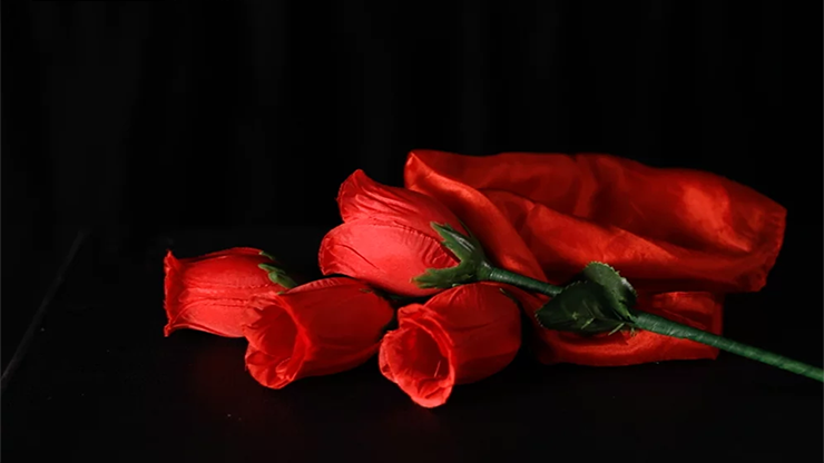 The Rose 2.0 (Red) - Bond Lee & Wenzi Magic - The Online Magic Store