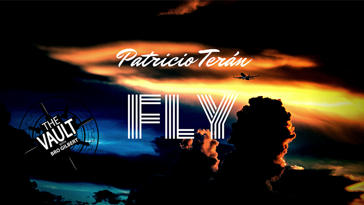 The Vault - Fly - Patricio Teran