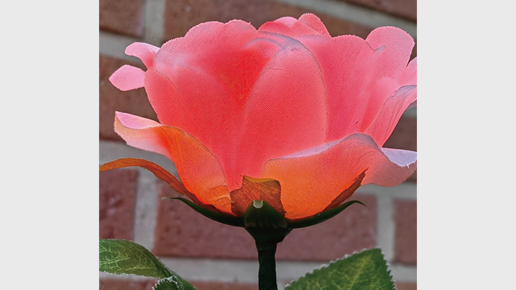 Remote Light Rose Multi-Color (Charger Included), photo 3