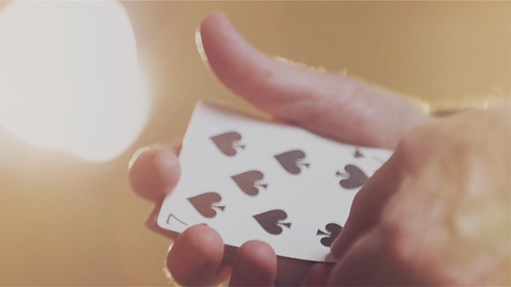 The Vault - Force of Will, photo 3