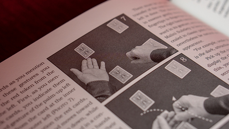 Giacomo Bertini's System for Amazement, photo 3