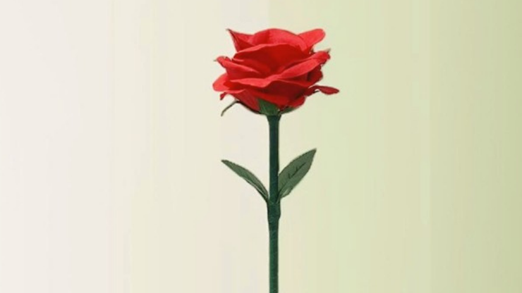 Rainbow Rose - JL Magic - The Online Magic Store
