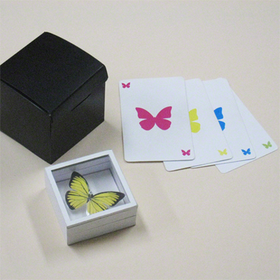 Magic Butterfly T-262 (2015)