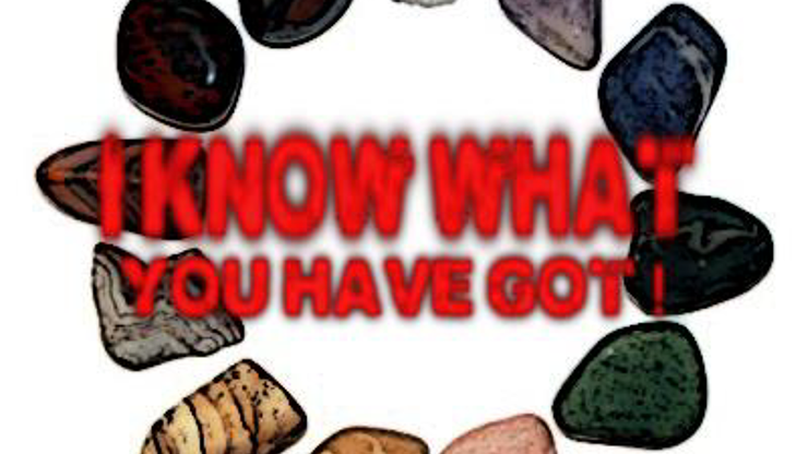 I know what you have got (eBook)