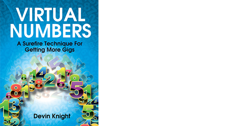 Virtual Numbers (eBook)