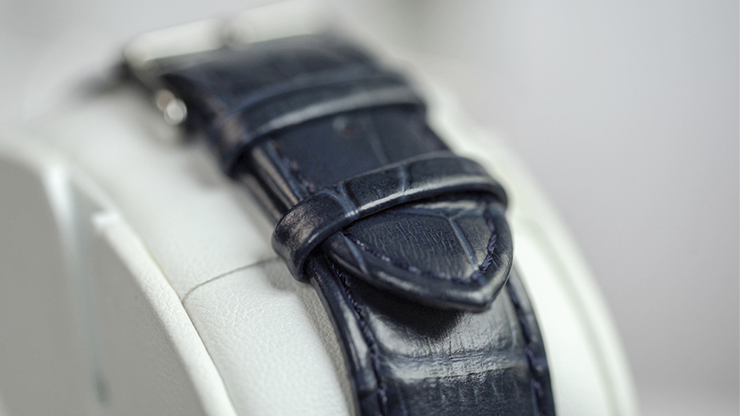 The PITATA Watch, photo 5