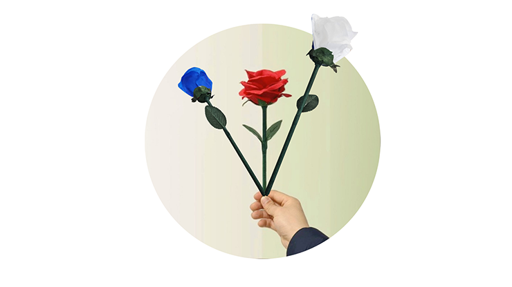 Rainbow Rose - JL Magic - The Online Magic Store