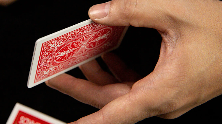 The Mobius Rising Card, photo 4