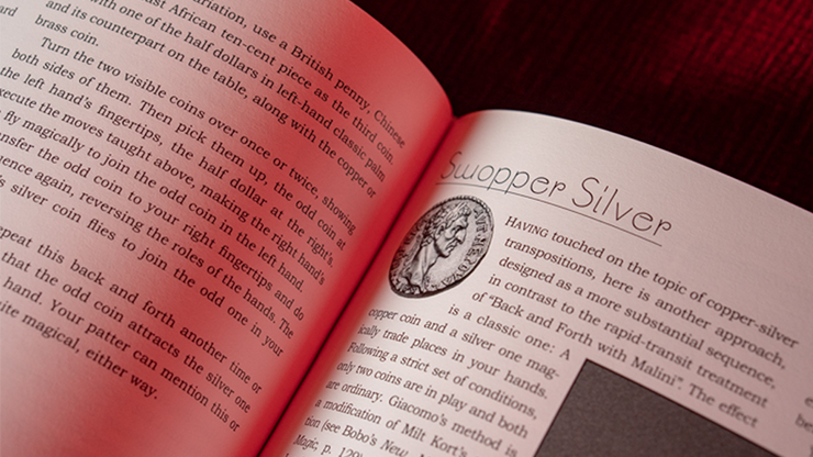 Giacomo Bertini's System for Amazement, photo 4