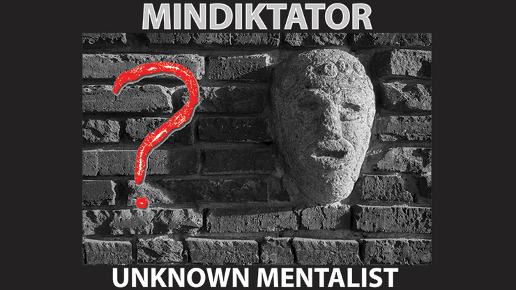 Mindiktator (eBook)