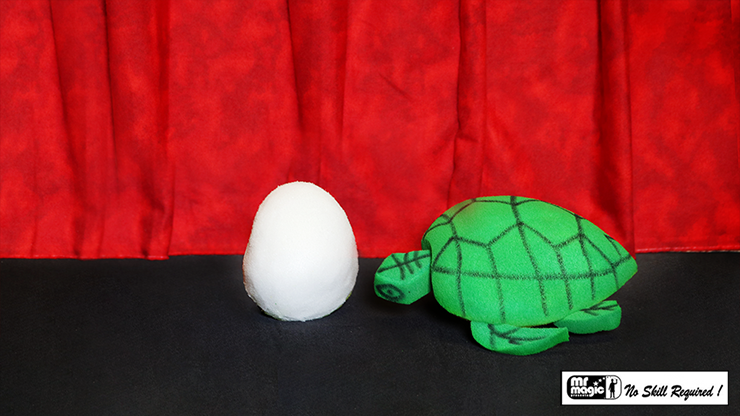 Egg to Tortoise (Sponge)