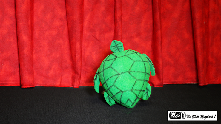 Egg to Tortoise (Sponge)