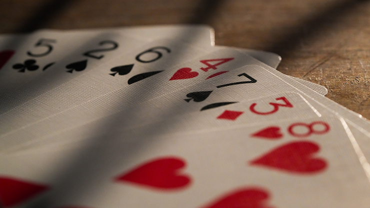 Double Crossed (With Online Instruction)