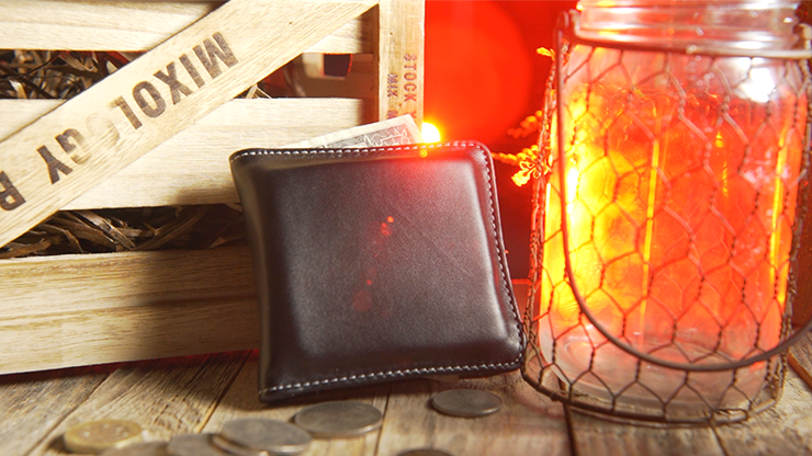 Easy Money Wallet, photo 7