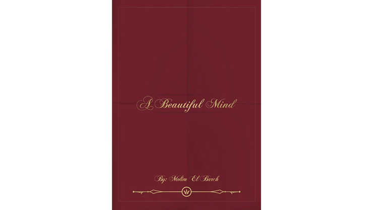 A Beautiful Mind (eBook)