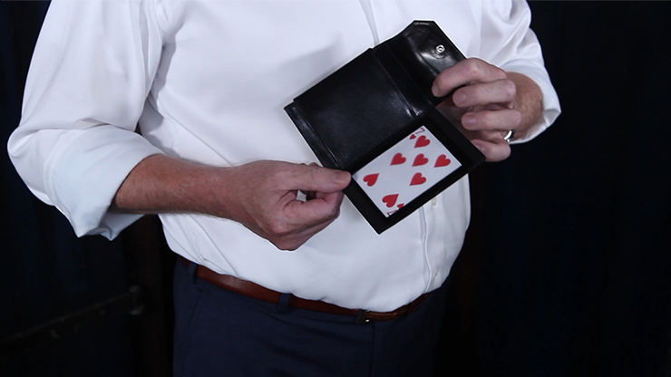 Multi-Wallet, photo 4