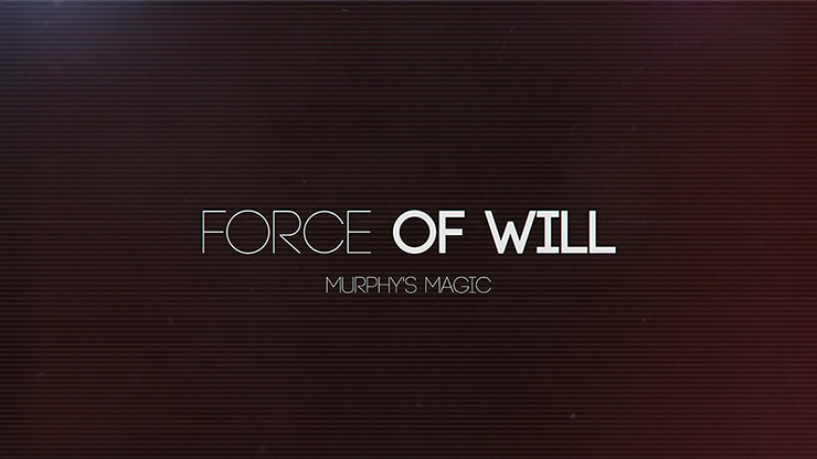 The Vault - Force of Will, photo 5