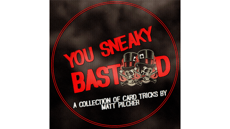 YOU SNEAKY BAST**D (eBook)