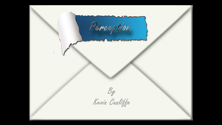 PERCEPTION (eBook)