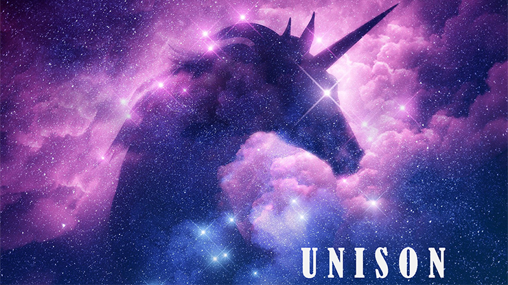 UNISON (eBook)