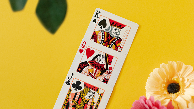 Butterfly Seasons Marked Playing Cards