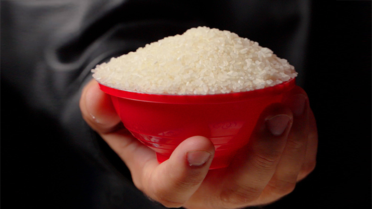 Rice Bowls