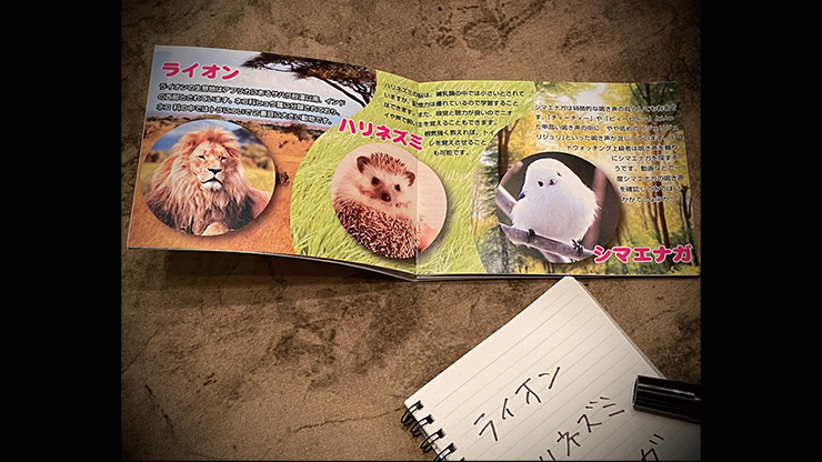 Mentalist's Animal Photo book 2024
