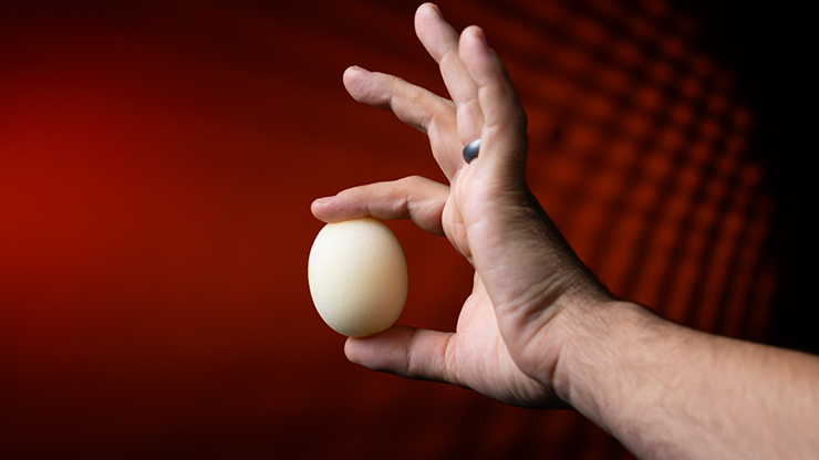 Magic Sponge Egg 4pk