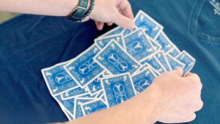 Flip N Print Blue