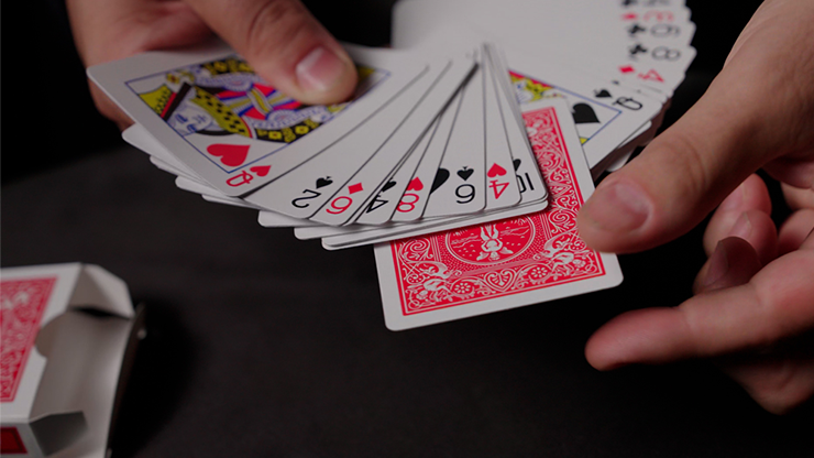 Hand Picked Astonishments INVISIBLE DECK with Joshua Jay