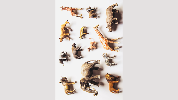 Noah's Ark Prop-less Animal Guess